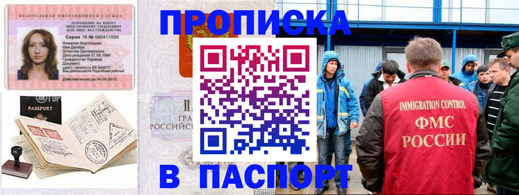 временная регистрация недорого в Камешково